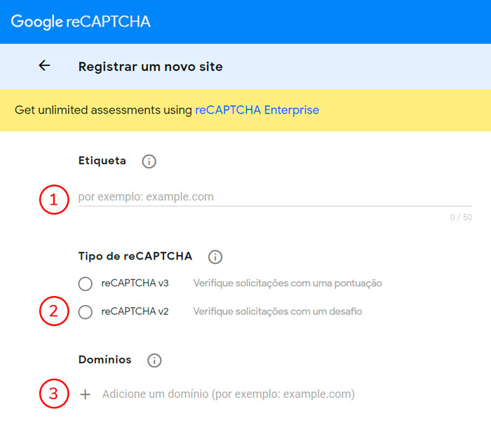 Formulário Recaptcha.